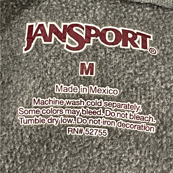 Jansport Sinclair hoodie - Picture 4 of 5